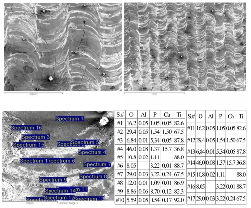 Ti6Al4V substrate 위에 100%HA 분말로 주사속도 2 mm/sec., 레이저 출력 100 w 및 분말공급속도 0.6 g/min으로 2층 평면 적층한 SEM 모습과 표면 EDX 조성분석 결과