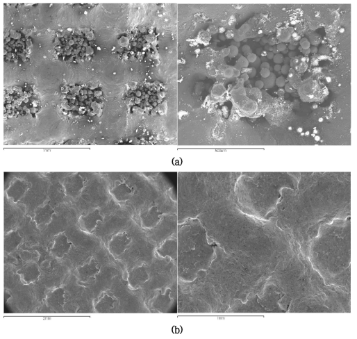 Ti6Al4V substrate 위에 Ti 층을 적층한 후 100%HA 분말로 스캔속도 4 mm/ sec., 레이저 출력 100 w, 분말공급 0.6 g/min.로 적적한 패턴의 SEM 모습. sand blasting 하기 (a) 전과 (b) 후의 모습