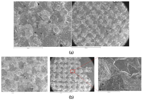 패턴으로 코팅한 100%HA 코팅층의 인장시험 후의 SEM 표면형상. (a) 0.4 g/min. (b) 0.6 g/min