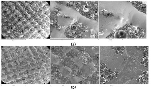 인장시험 후 시편의 표면 코팅층을 관찰한 SEM 사진. (a) 시편 #3, (b) 시편 #6)