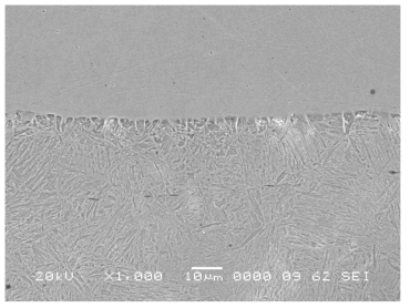 S45C+STS310S 계면의 SEM image