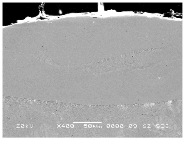 S45C+STS310S 계면 및 비드의 SEM image