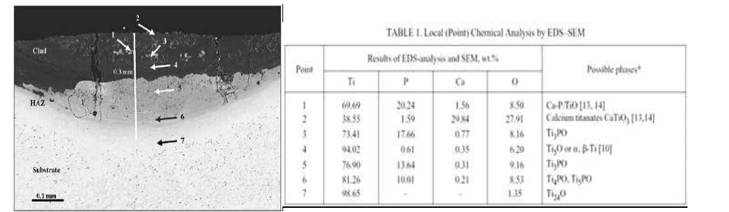 소재 선정_hydroxy apatite- Ti SEM micrograph (I. Smolina, P. Szymczyk, E., et al., “Composite Laser-Clad Coating on Titanium Substrate Using Pure Hydroxyapatite Powder” 2015)