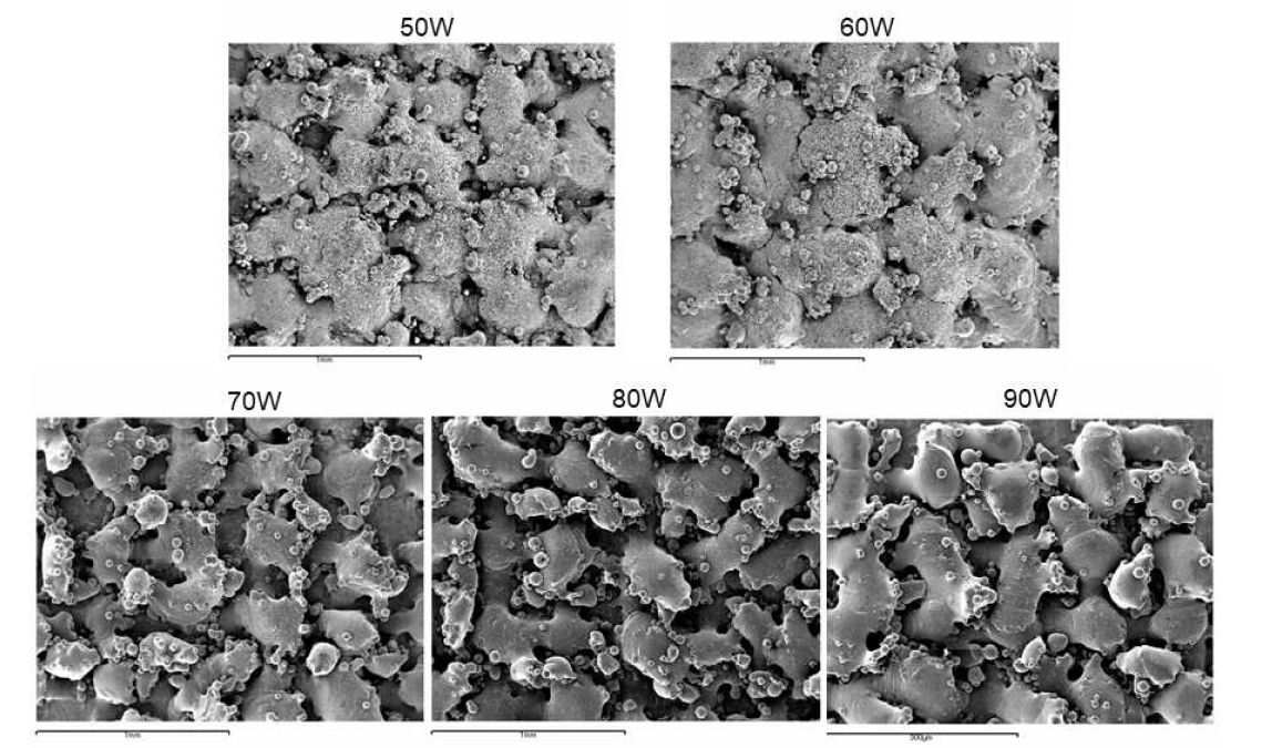 SEM micrograph_HA50:Ti50