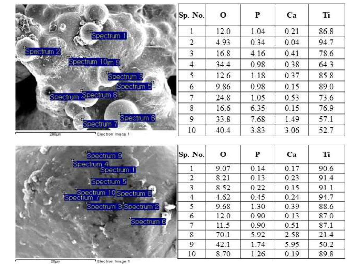 HA:CpTi = 25:75, 90W에서 처리한 표면의 SEM/EDX