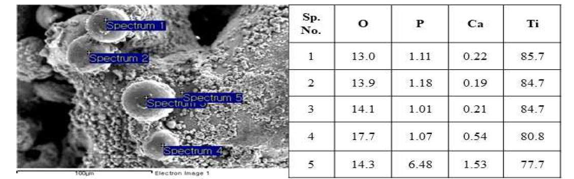 HA:CpTi = 50:50, 60W에서 처리한 표면의 SEM/EDX