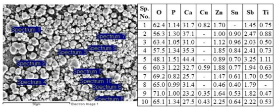 HA:CpTi = 50:50, 60W에서 처리한 표면의 SEM/EDX