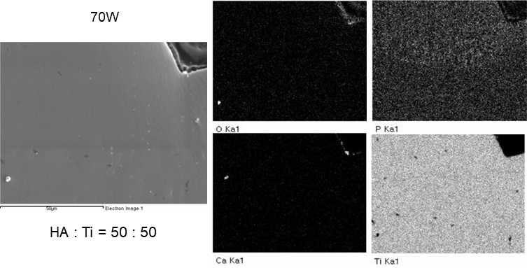 HA:CpTi = 50:50, 70W에서 처리한 표면의 SEM/EDX