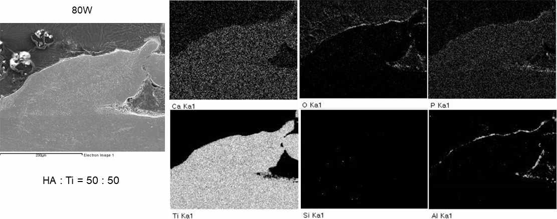 HA:CpTi = 50:50, 80W에서 처리한 표면의 SEM/EDX