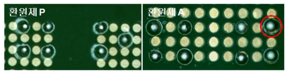 환원제 P, A 적용 솔더링 후 외관 사진 비교