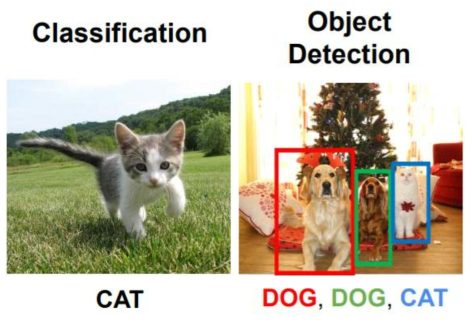 이미지 분류(좌)와 물체 검출(우)