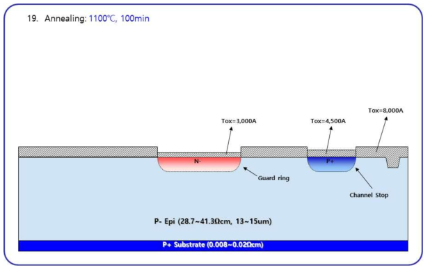 N- Guard ring 열처리 (Junction 형성)