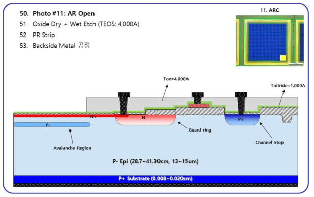 Avalanche Region Open 및 Backside Metal 형성