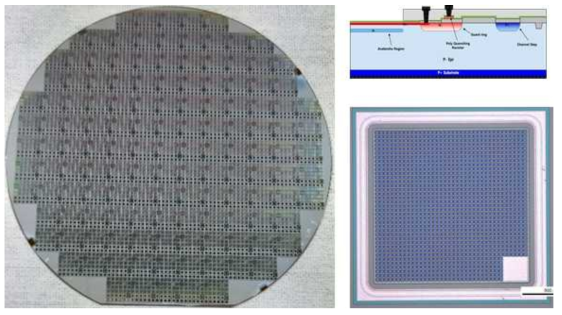 Si-SPAD 어레이소자 제작 웨이퍼 및 Main Chip Scope 이미지