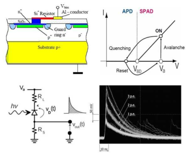 SPAD 단위 소자구조, 동작 원리 및 단일 광자 감지 특성 모식도