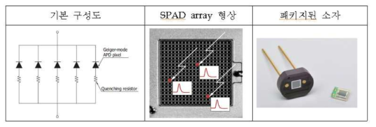 SPAD 어레이의 구조, Photon Counting 형상 및 패키징된 소자