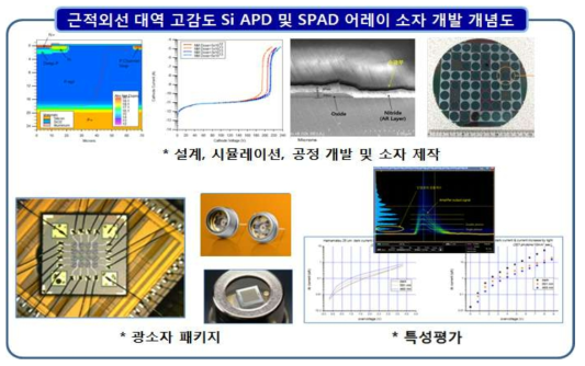 고감도 APD 및 SPAD 어레이 소자 개발을 위한 연구내용 개념도