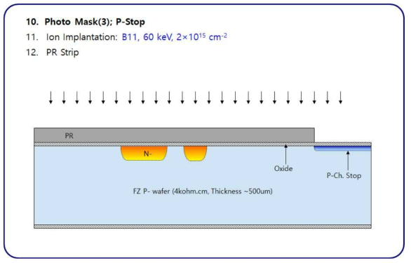 (c). APD test run의 process flow-1