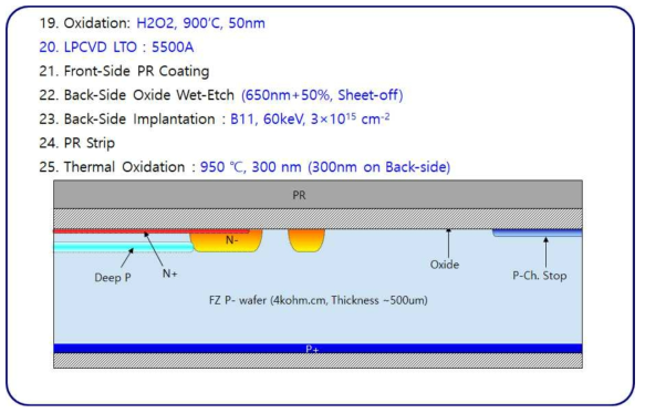 (f). APD test run의 process flow-1