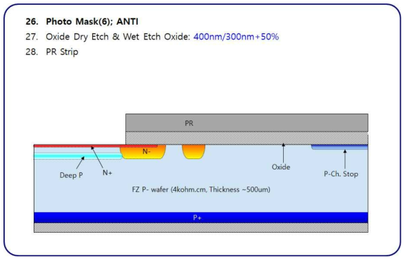 (g). APD test run의 process flow-1