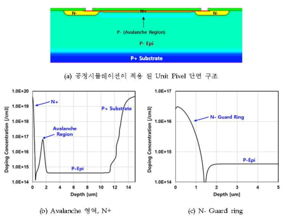 공정 시뮬레이션을 통해 형성된 Pixel 구조 및 Junction의 도핑 프로파일