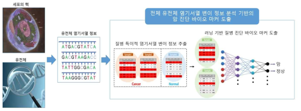 전체 유전체 기반 정밀 진단 바이오 마커 개발의 기본 개념도