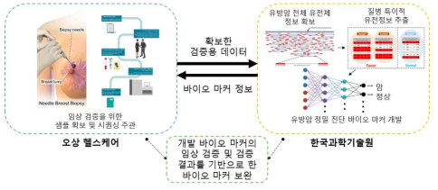 기관별 유방암 정밀 진단 바이오 마커 개발 연구 내용 및 상관도