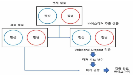 Variational Dropout 기반 바이오마커 추출 알고리즘의 개념도