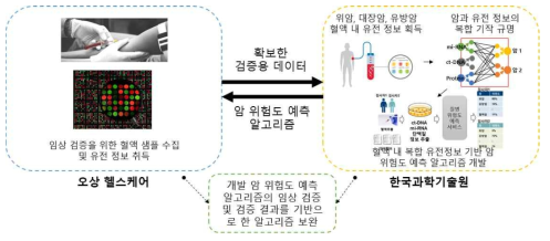 기관별 암 위험도 예측 알고리즘 개발 연구 내용 및 상관도