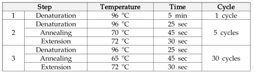 1st PCR condition
