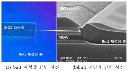 butt 재성장 후 단면의 SEM 사진