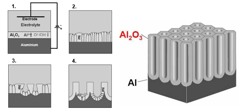 나노포러스(anodic aluminum oxide)의 형성 과정 및 구조