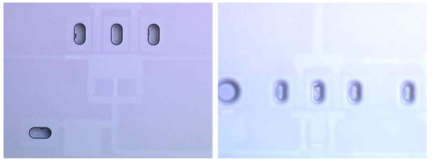 Ni 에치마스크 제거후의 모습. 현미경 초점을 웨이퍼 표면에 맞춘 사진(좌) 과 비아홀 안쪽에 맞춘 사진 (우)