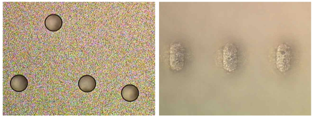 도금 공정 후의 모습. 현미경 초점을 웨이퍼 표면에 맞춘 사진(좌) 과 비아홀 안쪽에 맞춘 사진 (우)