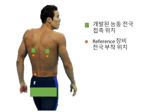 개발된 능동 전극의 접촉 위치와 reference 장비인 MP150의 전극 부착 위치