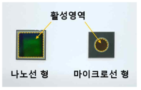 소자 분리공정을 완료한 후의 실리콘 나노선 칩 이미지