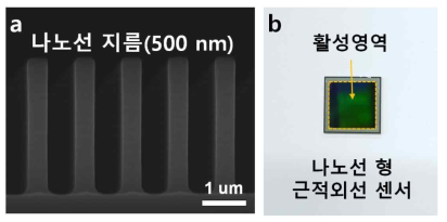실리콘 수직 나노선 수광소자 이미지. (a) 수직 나노선의 SEM 이미지, (b) 제작된 센서칩 이미지