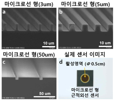 실리콘 수직 마이크로선 수광소자 이미지. (a)-(c) 3, 5, 50 um 직경의 수직 마이크로선의 SEM 이미지, (d) 제작된 센서칩 이미지