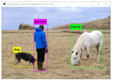 YOLOv3 이미지 Detection 결과