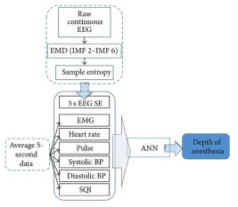 Depth of danesthesia modeling flowchart