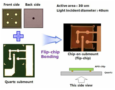 개발된 GM-APD의 COS(Chip-on-submount) 사진 및 Flip-chip 개념도