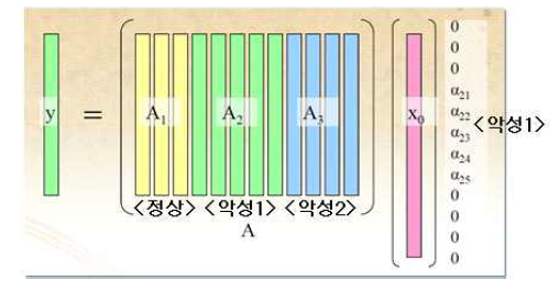 Sparse Coding 기반 악성코드 탐지