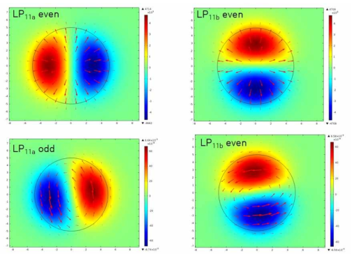 LP11 모드의 vectorial mode 특성