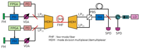 PnP QKD 셋업을 이용한 1x2 MDM 네트워크