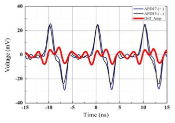 Dual path 단일광자검출 시스템 출력 파형