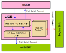 BS LICB(Logical Interface Control Block) 블록 구조