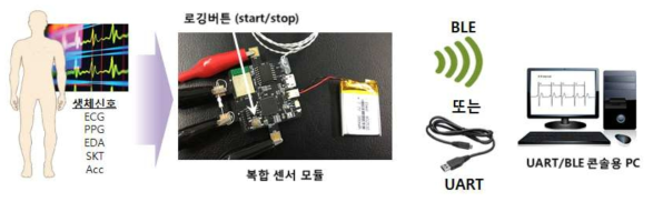 장기 모니터링을 위한 시험 구성도