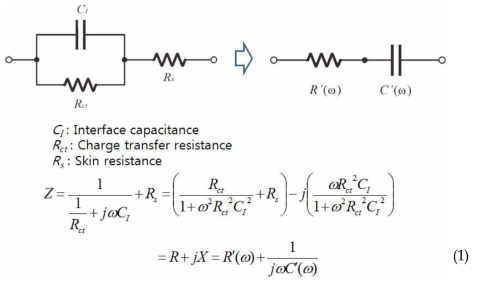 피부와 전극간의 전기 회로 모델