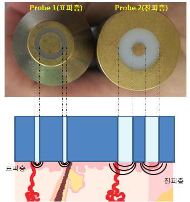 측정에 사용된 전극 프로브