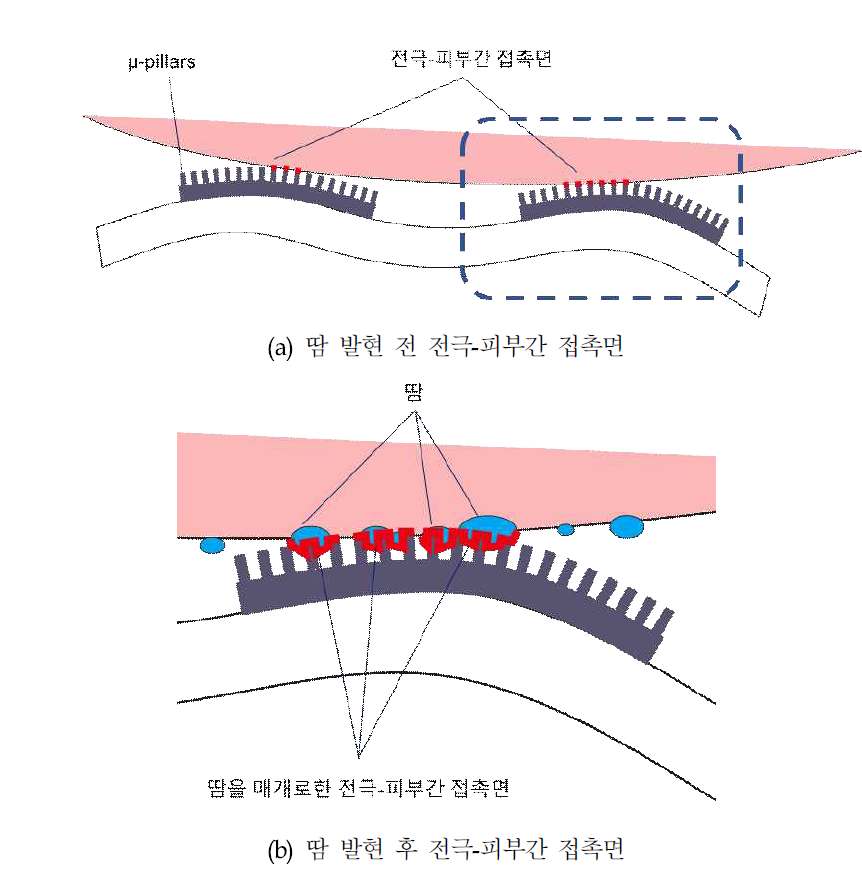 Micro-pillar가 형성된 전극에서의 땀 발현 전후 전극-피부간 접촉면